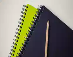 MP ITI Scholarship Scheme 2024: Check Complete List Here