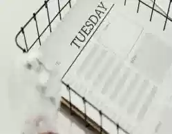 ASDMA Recruitment 2024 Application Form for 6 Posts Released at assam.gov.in: Access Direct Link