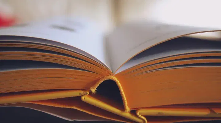 AP EAMCET Answer Key 2024 Released for Agriculture, Pharmacy: Objection Window Opened