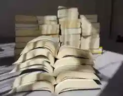 Maharashtra NIRF Ranking 2024 Released: Check Top Engineering, Medical, Pharmacy Colleges