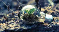 CSIR NET Earth Sciences Exam Analysis 2023: Experts' Views And Students' Reaction