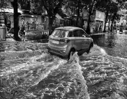 School Holiday 11 August 2024 Due to Rain: Maharashtra, Delhi, Uttar Pradesh, Bihar