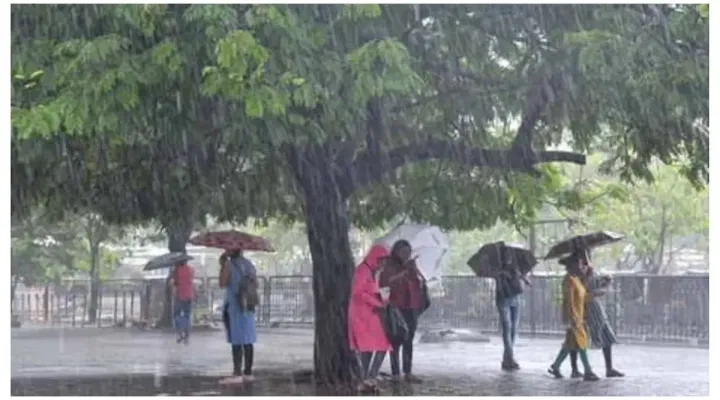 Telangana School Holiday 4th September 2024 Due to Rain (Live): List of Districts Declared Holiday 