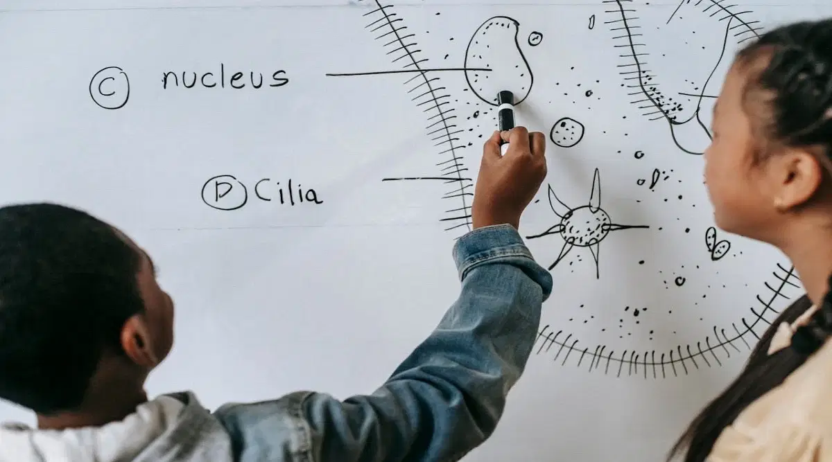 ICSE 10th Biology Blue Print 2025: Check Chapter Wise Weightage