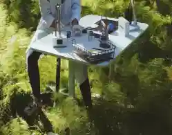 TN 12th Botany Public 2024 Answer Key, Question Paper and Exam Analysis