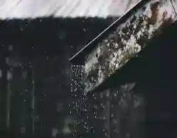 Will there be School Holiday in Kerala Due to Heavy Rain (August 1)?