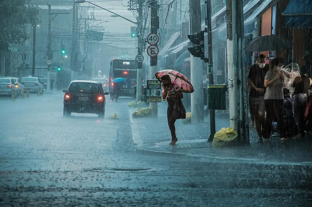 Karnataka School Holiday 3 August 2024: List of District Declared Holiday Due to Rain