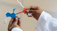 TN 12th Biology Public 2024 Answer Key, Question Paper and Exam Analysis