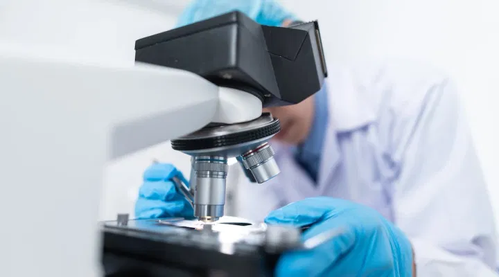 GATE 2024 Biotechnology (BT) Question Paper: Download Memory-Based Questions