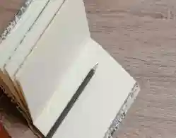 Kerala Plus Two Sociology 2024 Answer Key, Question Paper and Exam Analysis