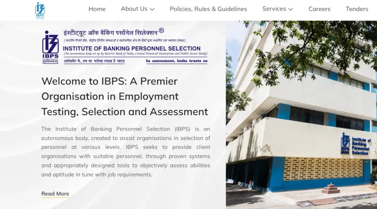 IBPS RRB Clerk Prelims Result 2025 PDF Download Link Activated 