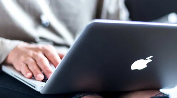 SEED 2024 Mock Test Dates January 11, 12: How to Access