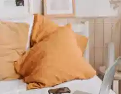 CBSE Preparation Notes Helped Achieve CUET Result: Claims Jaya Jha CUET UG 2023 Topper