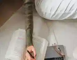 CBSE 2024 Admit Card Available to Download Now at cbse.gov.in: Direct Link to Download