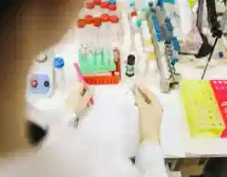 Gujarat NEET PG Revised Merit List 2024 Released