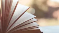 ICSE Class 10th Hindi Paper Answer Key 2024: Check Answers by Experts