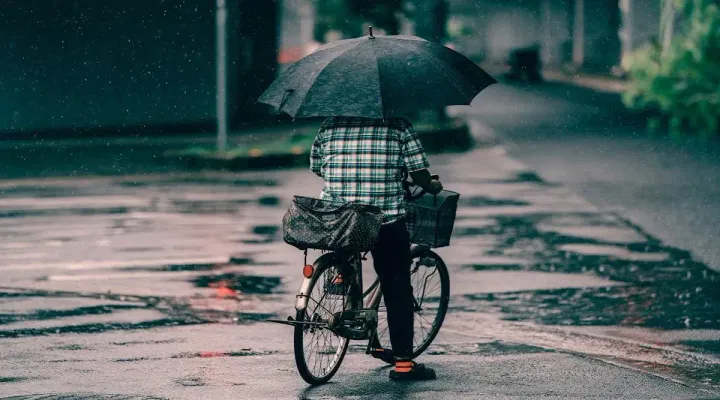 School Holiday 10 September 2024 Due to Rain (Live): Andhra Pradesh, Odisha, Telangana