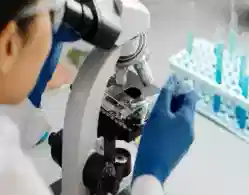 NFAT Result 2024 to Be Released at 12 Noon Today, Jun 25: First Merit List to Be Released Soon After