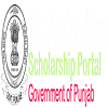 Dr Ambedkar Scholarship 2024: Eligibility, Last Date, Amount