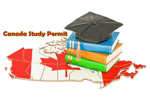 Canada Study Permit: Application, Processing & Approval Rate