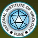 National Institute of Virology, Pune