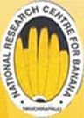National Research Centre for Banana, Thiruchirapalli