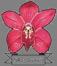 National Research Centre for Orchids, East Sikkim