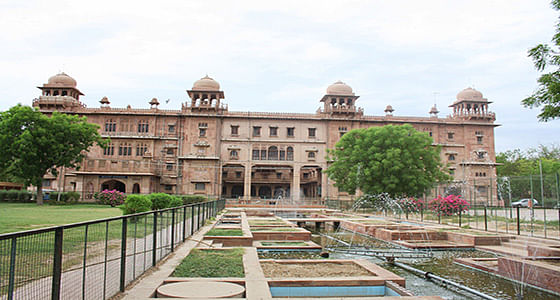 Damancasino.in/#/login - Top, Best University in Jaipur, Rajasthan