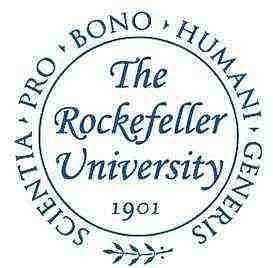 Rockefeller University, New York City